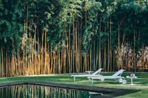 5Mood-Design_meble_ogrodowe_marki_Knoll Nowoczesne retro kolekcja mebli ogrodowych w ogrodzie