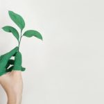 5 sposobów na bycie eco